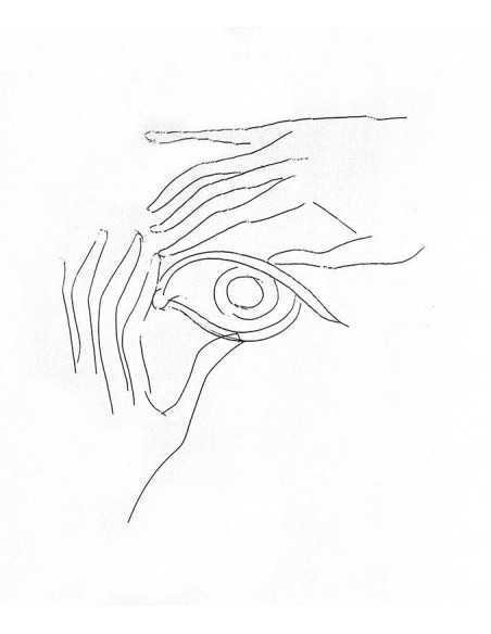 Glass Plate hands fingers eye Glass-plate : drypoint drawing on pla...