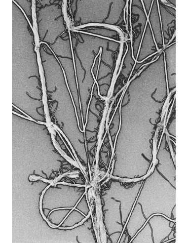 Enough Rope 1 Donnez-lui assez de corde et il ira se pendre - solar...