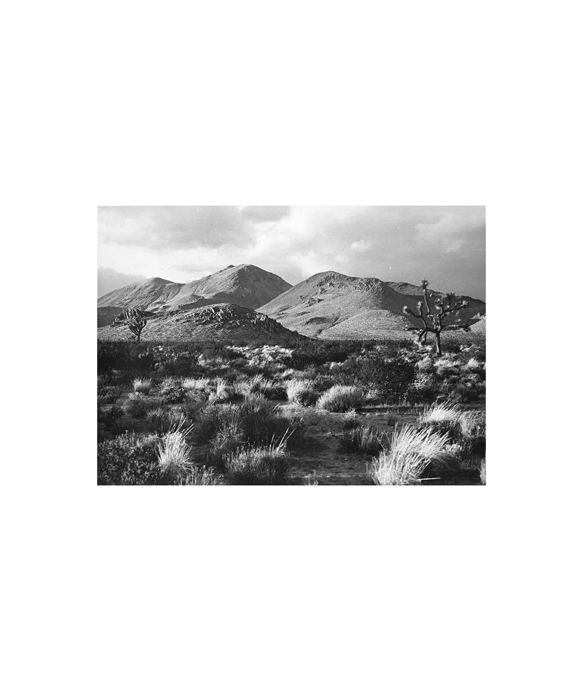 manray|Man Ray photo / TELIMAGE|paysage américain||Paysages / Lieux