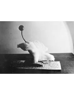 manray|Manray Phtoto|Photographies