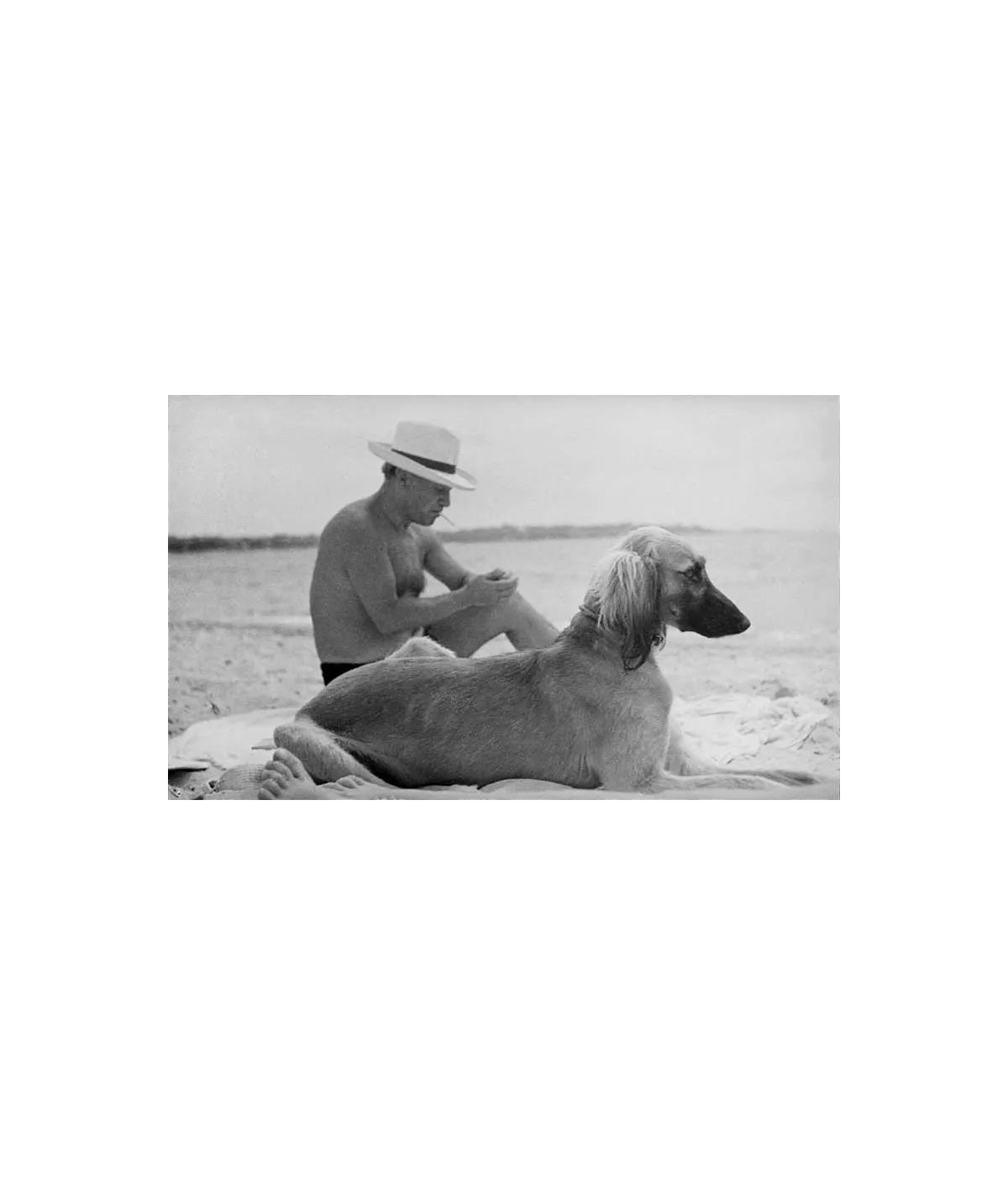 manray|Man Ray photo / TELIMAGE|Pablo Picasso with his dog||Men