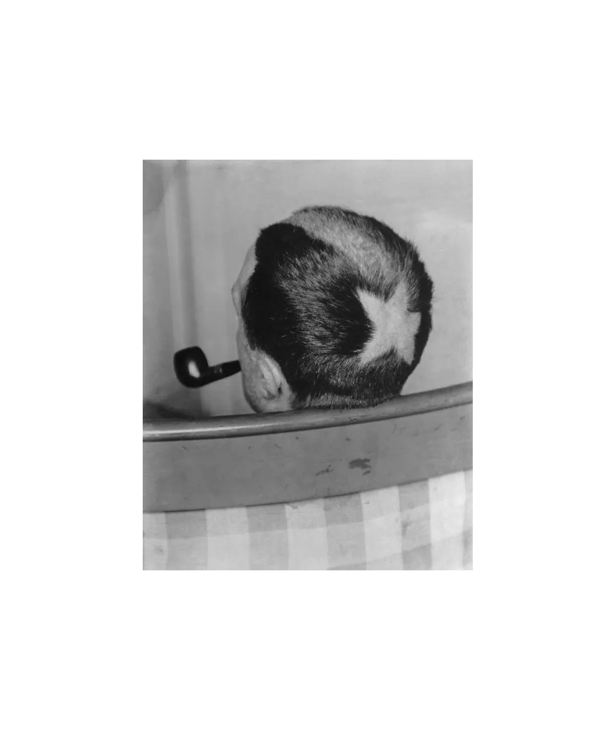 manray|Man Ray photo / TELIMAGE|Marcel Duchamp||Hommes