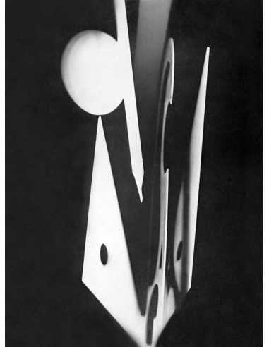 Champs délicieux n°11 Album Champs délicieux n° 11 - rayography : g...