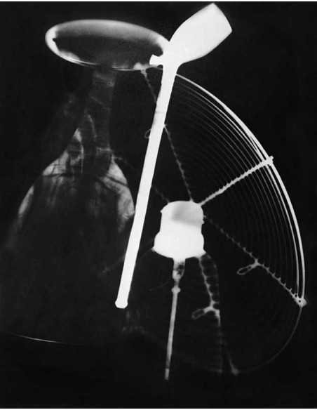 Champs délicieux n°10 Album "Champs délicieux" n° 10 - rayography :...