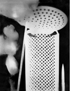 Champs délicieux n°12 Album Champs délicieux n° 12 - rayographie : ...