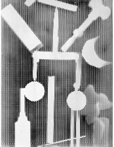 Champs délicieux n°09 Album Champs délicieux n°09 - rayography : ge...