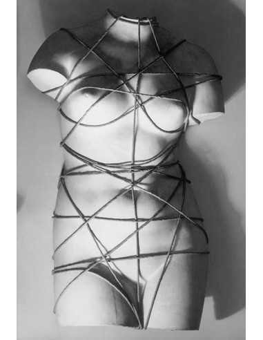 Venus restaurée Objet - torse habillé; plâtre de venus entouré de c...