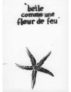 Étoile de mer Beau comme une fleur de feu (négatif) Étoile de mer