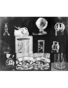 L'Étoile de Mer extrait du film de Man Ray, plusieurs images avec b...