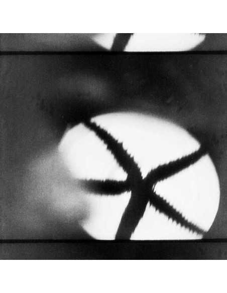 L'Étoile de mer extrait du film de Man Ray, étoile de mer  en ombre...