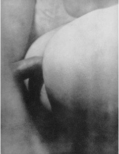 1929 Hiver Gros plan d'un couple faisant l'amour sodomie, quatrième...