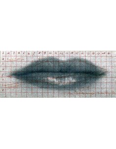 Lèvres (quadrillage) Gros plan de lèvres bouche de Lee Miller, quad...