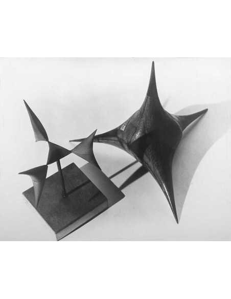 Objet mathématique Surfaces algébriques du IV ème degré - série pho...