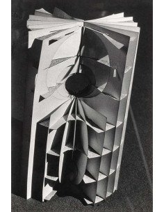 Objet mathématique Cercles de courbure d'une surface - série photog...