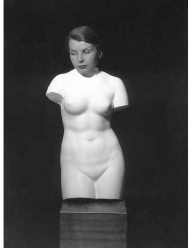 Sans titre (tête et torse) Torse en plâtre Venus de Médicis avec tê...