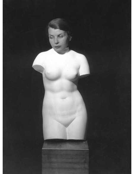 Sans titre (tête et torse) Torse en plâtre Venus de Médicis avec tê...