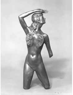 Man Ray|manray photo|manray|Manray Phtoto|By request - $ 10 000||Objects