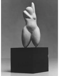 manray|Manray Phtoto|Objects