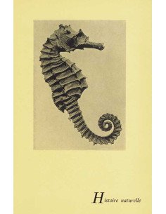 Histoire naturelle - La photographie n'est pas l'art Histoire natur...