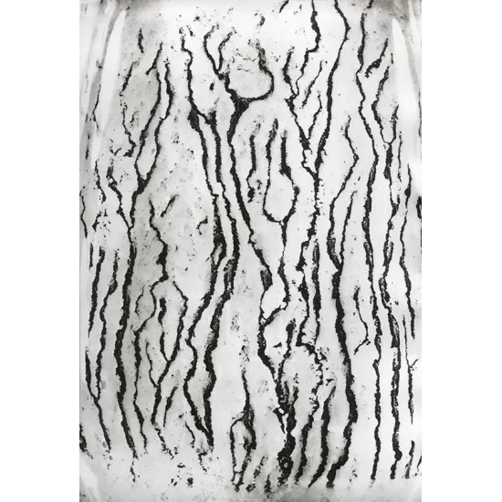 manray|Man Ray photo / TELIMAGE|Les voies Lactées 01||Les Voies Lactées - 1974