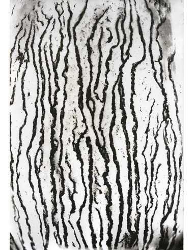 Les voies Lactées 02 Ensemble de 11 photographies éditées par la Ga...