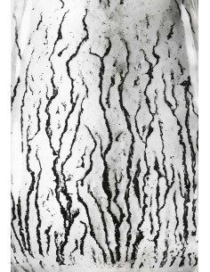 Les voies Lactées 03 Ensemble de 11 photographies éditées par la Ga...