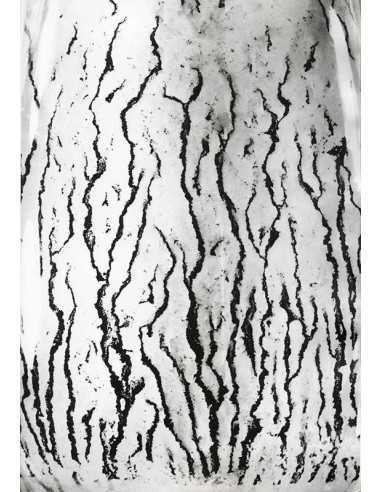 Les voies Lactées 03 Ensemble de 11 photographies éditées par la Ga...