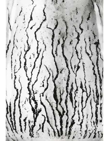 Les voies Lactées 03 Ensemble de 11 photographies éditées par la Ga...