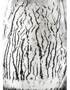 Les voies Lactées 04 Ensemble de 11 photographies éditées par la Ga...