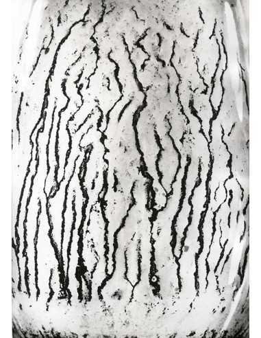 Les voies Lactées 04 Ensemble de 11 photographies éditées par la Ga...