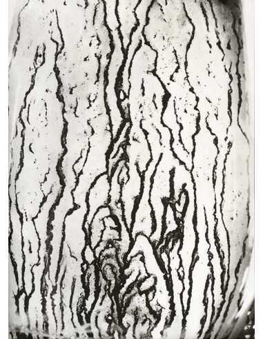 Les voies Lactées 08 Ensemble de 11 photographies éditées par la Ga...