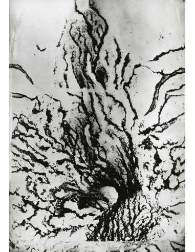 Les voies Lactées 09 Ensemble de 11 photographies éditées par la Ga...