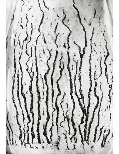 Les voies Lactées 10 Ensemble de 11 photographies éditées par la Ga...