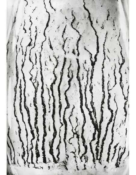 Les voies Lactées 10 Ensemble de 11 photographies éditées par la Ga...