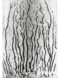 Les voies Lactées 11 Ensemble de 11 photographies éditées par la Ga...