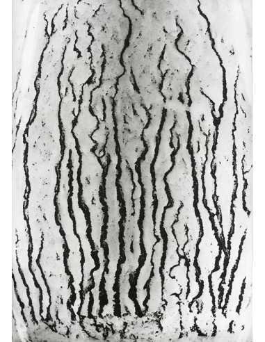 Les voies Lactées 11 Ensemble de 11 photographies éditées par la Ga...