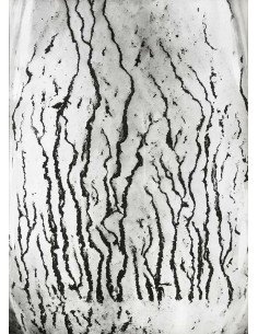 Les voies Lactées 05 Ensemble de 11 photographies éditées par la Ga...