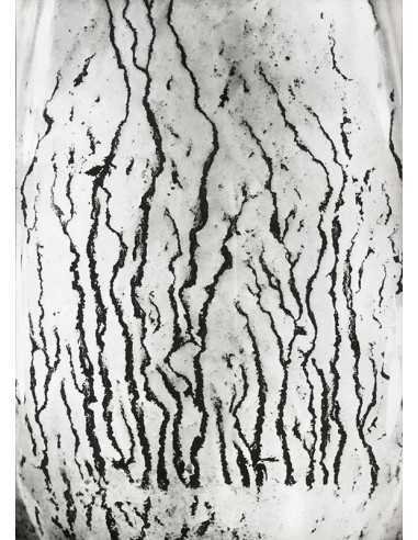 Les voies Lactées 05 Ensemble de 11 photographies éditées par la Ga...