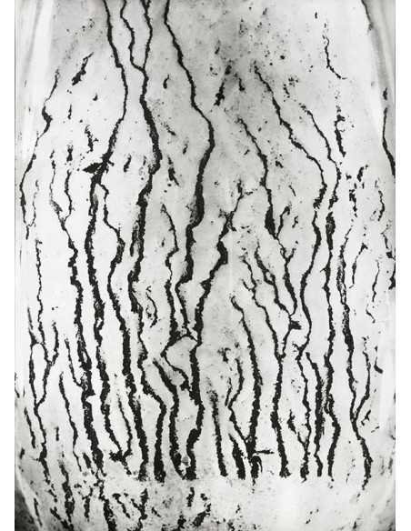 Les voies Lactées 05 Ensemble de 11 photographies éditées par la Ga...