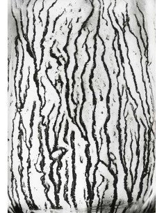 Les voies Lactées 06 Ensemble de 11 photographies éditées par la Ga...