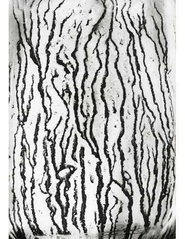 Les voies Lactées 06 Ensemble de 11 photographies éditées par la Ga...