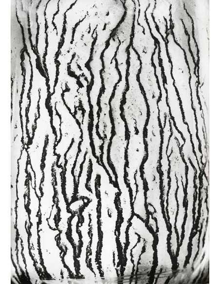 Les voies Lactées 06 Ensemble de 11 photographies éditées par la Ga...