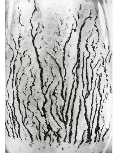 Les voies Lactées 07 Ensemble de 11 photographies éditées par la Ga...