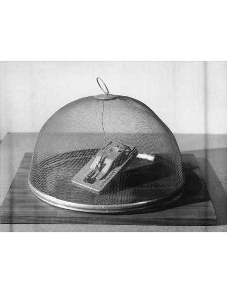 Le merveilleux (the wonderfull) The wonderful Mousetrap under a bel...