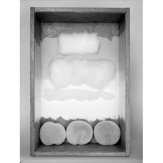 manray|Man Ray photo / TELIMAGE|Pechage||Objects