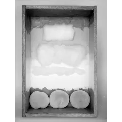 manray|Man Ray photo / TELIMAGE|Pechage||Objects