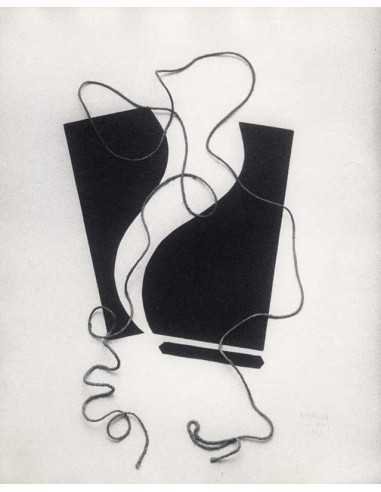 Eclosion Collage Eclosion