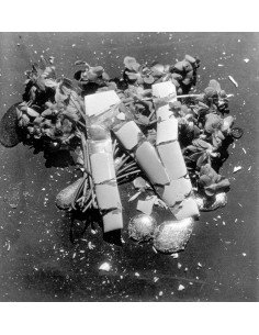 N comme Nozière couverture pour la livret Violette Nozière, publié ...