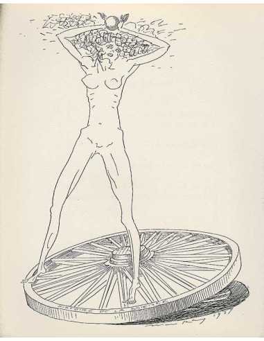 Les Mains Libres, p.114 : Histoire de la science Livre Les Mains Li...