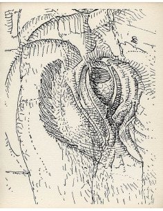 Les Mains Libres, p.195 : Detail, Sade Book Les Mains Libres (drawi...